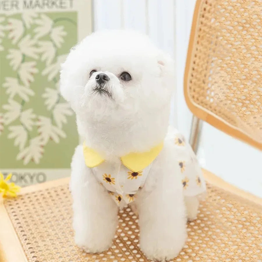 Robe d'été pour chien - Vêtements mignons pour petits chiens et chiots