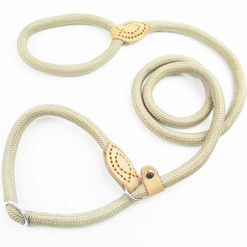 Laisse-collier chien - Corde tressée robuste avec boucle réglable pour grands chiens