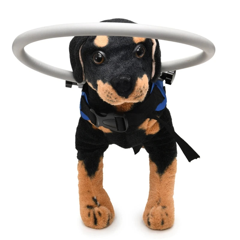 Anti-Collision Halo Collar for Blind & Visually Impaired Dogs