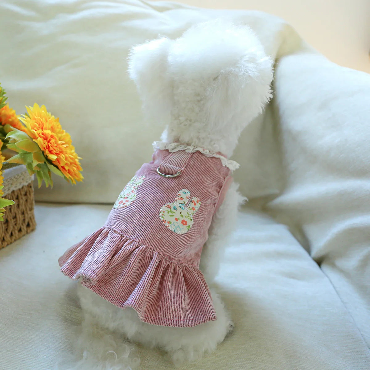Robe et Jupe de Mariée de Princesse pour Petits Chiens et Chats