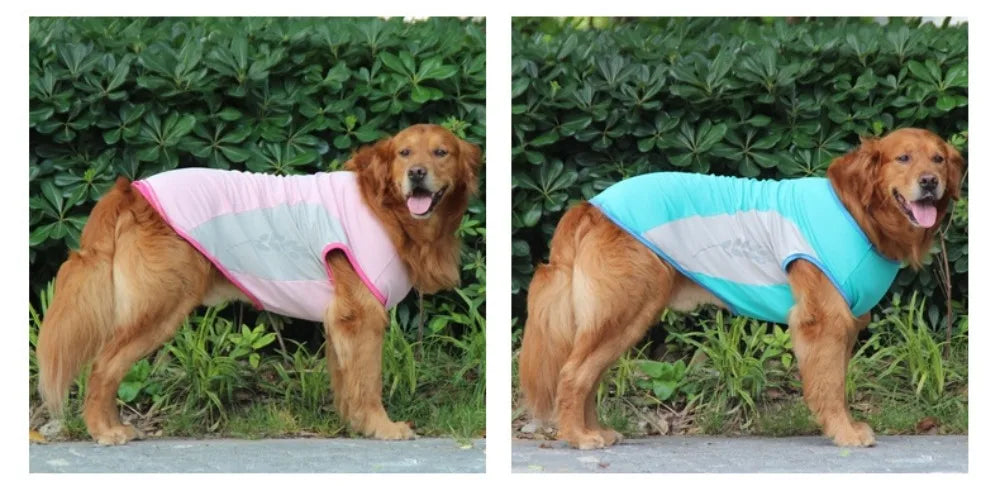 Reflective Cooling Vest for Dogs & Cats
