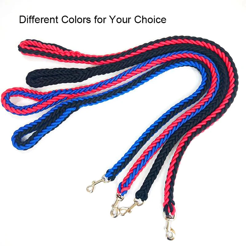 Heavy Duty Nylon Dog Leash & Collar Set - 130cm