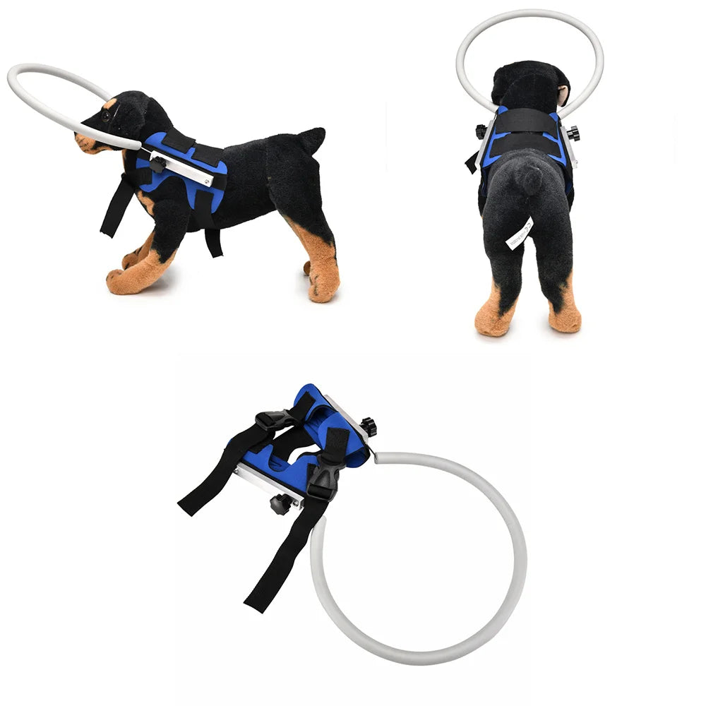 Anti-Collision Halo Collar for Blind & Visually Impaired Dogs