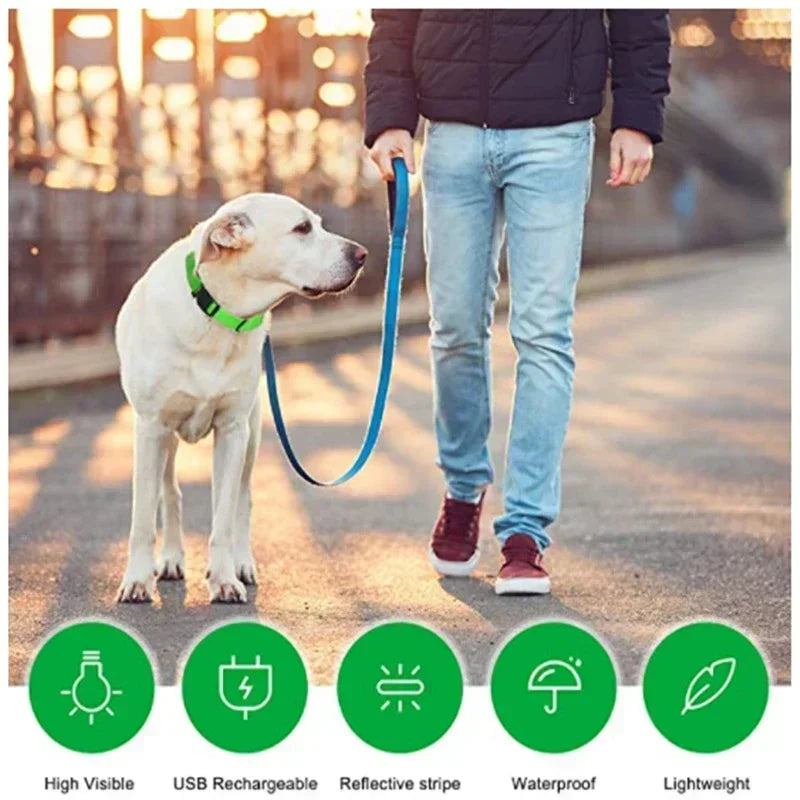Collier lumineux LED pour chien - Réglable, clignotant, rechargeable - Collier lumineux pour la sécurité nocturne - Harnais lumineux anti-perte pour chien