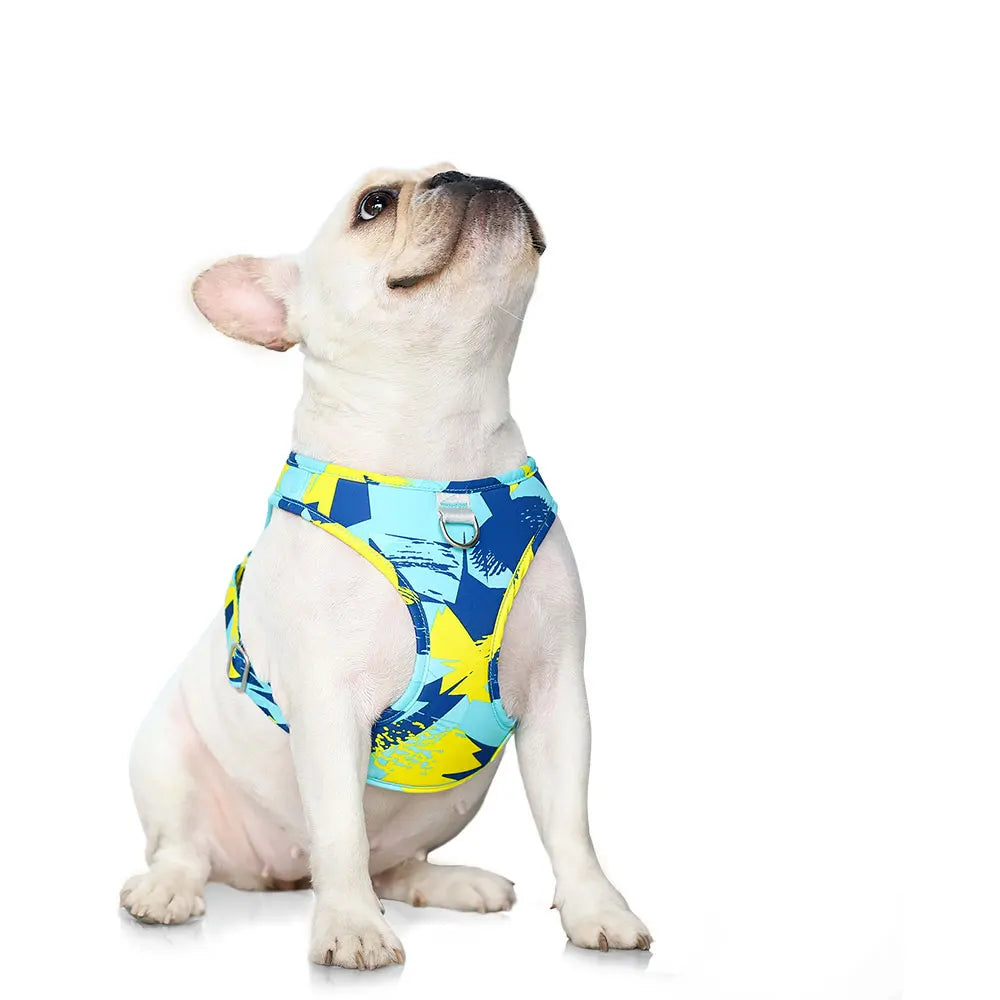 Adjustable Mesh Vest Harness for Dogs & Cats
