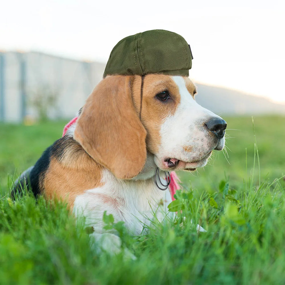 Adjustable Pet Beret Hat for Dogs & Cats