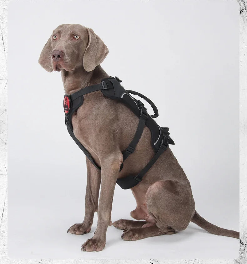 Harnais Tactique Militaire pour Grands Chiens