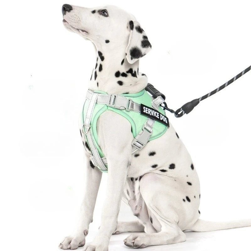 No Pull Dog Harness with Front Clip and Handle