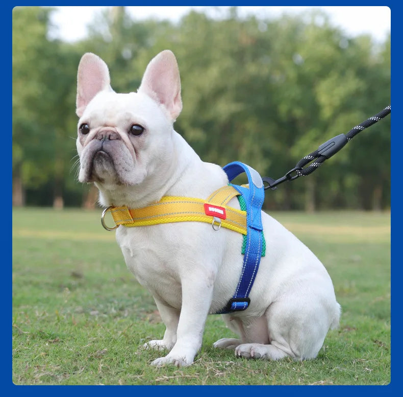 Saddle-Style Padded Dog Harness Vest