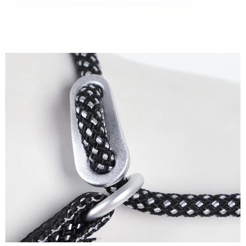 Laisse de dressage 2-en-1 avec collier étrangleur intégré pour petits chiens 150cm
