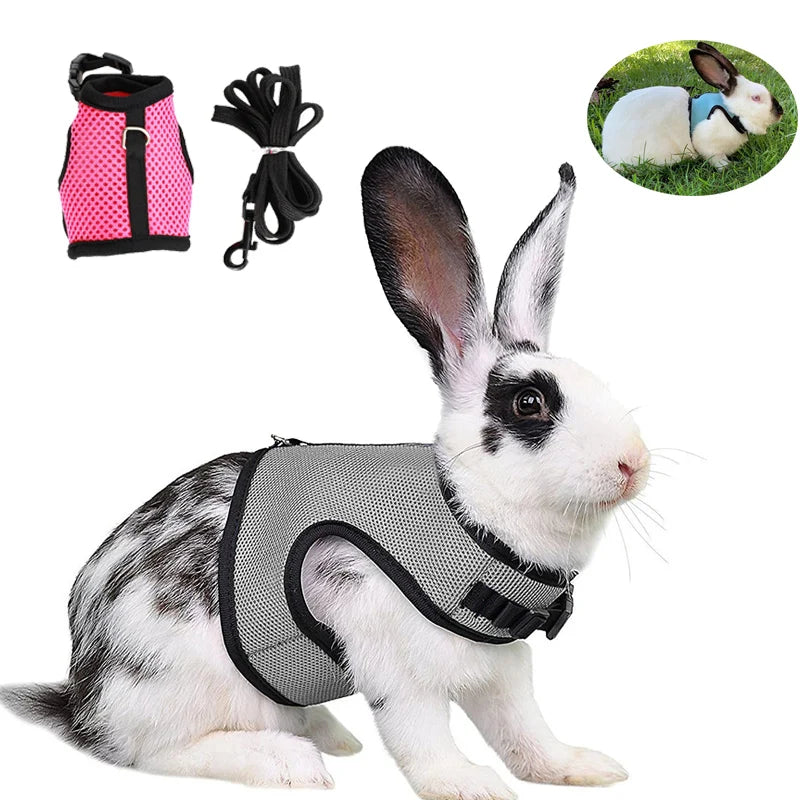 Mesh Breathable Harness & Leash Set for Rabbits, Ferrets & Small Pets