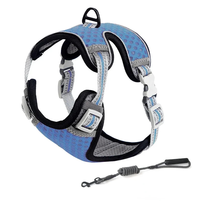 Reflective Cat Harness and Leash Set - Escape Proof, Adjustable Walking Harness