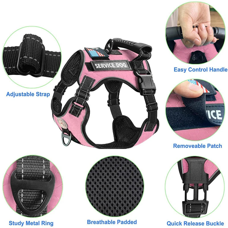 Dog Harness Set — Chest Vest, Shock-Absorbing Lead, Folding Bowl & Waste Bags