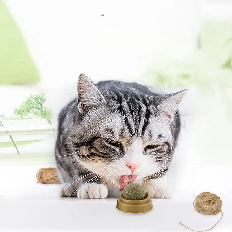 Natural Catnip Wall Ball
