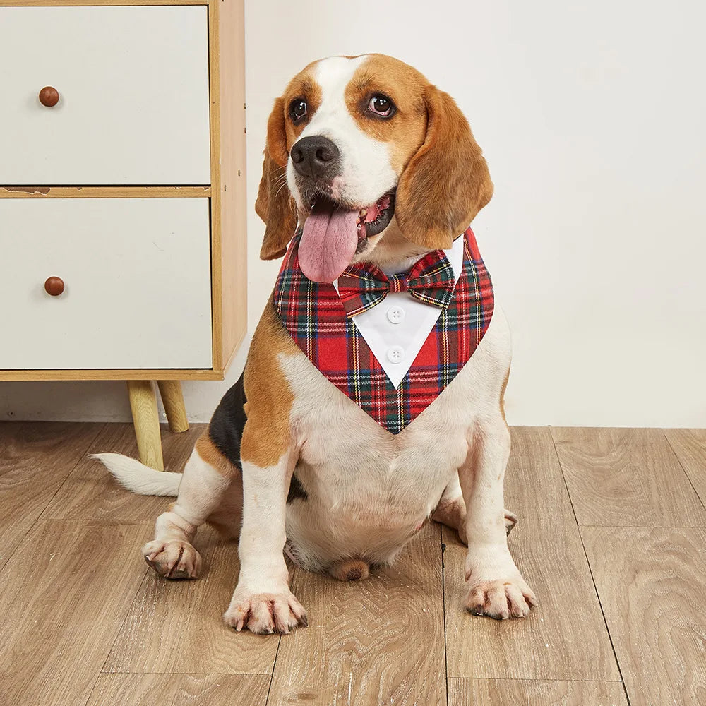 Dog Bow Tie & Bandana Set