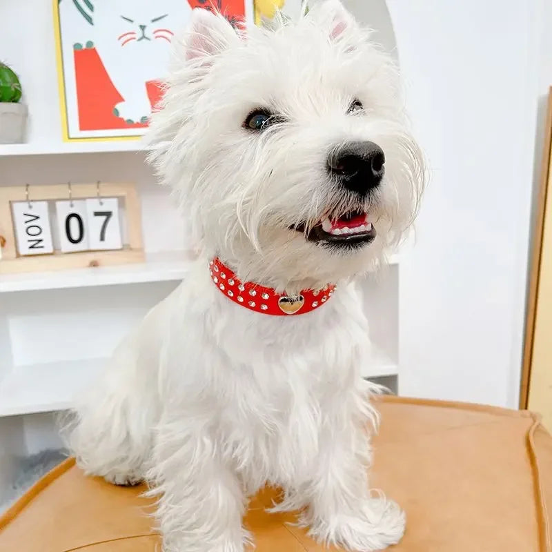 Rhinestone Heart Pet Collar