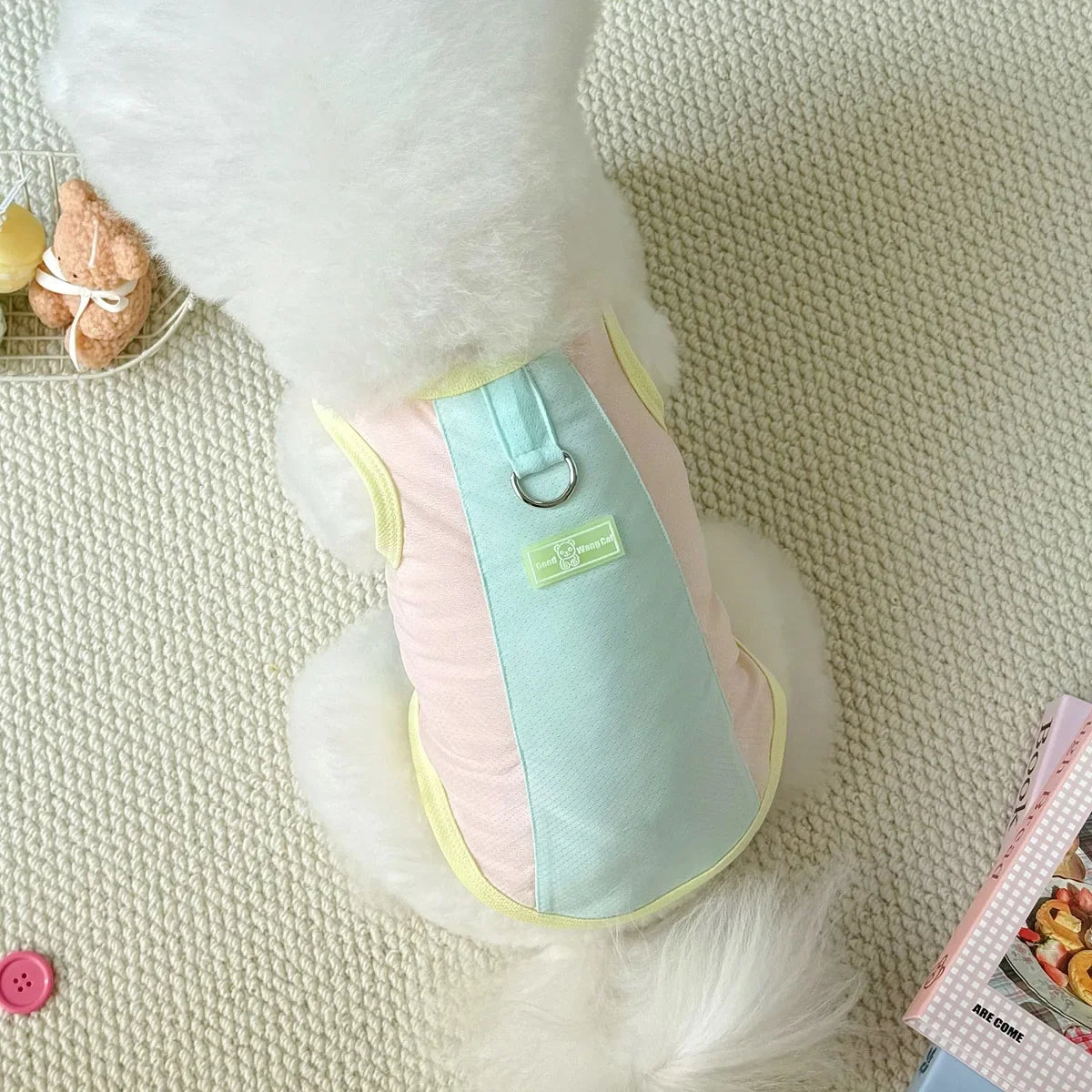 Gilet rafraîchissant réfléchissant et t-shirt d'été pour chiens et chats de petite, moyenne et grande taille