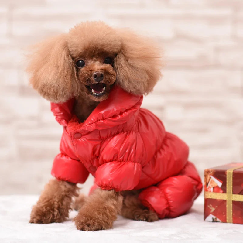 Winter Down Jumpsuit for Small Dogs | Padded All-in-One Dog Coat
