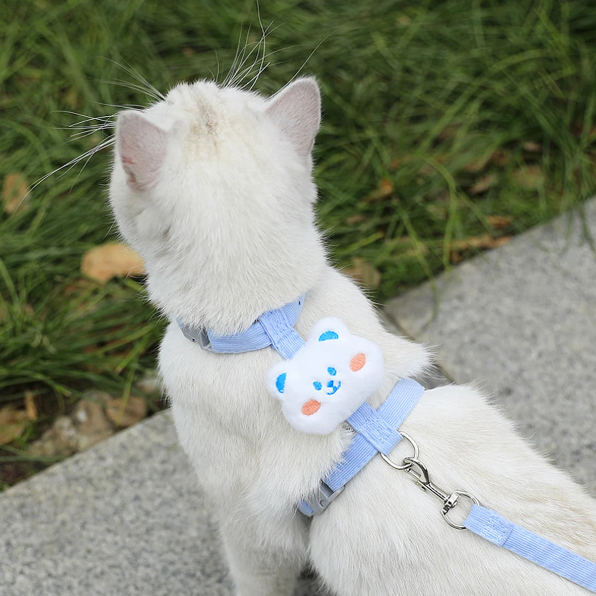Breathable Adjustable Harness & Leash Set for Cats and Small Dogs