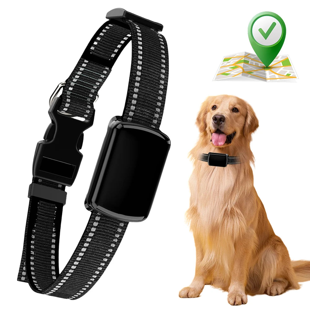 M10A 4G GPS Pet Tracker with Electronic Fence & Activity Tracking