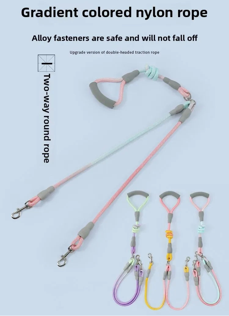 Ensemble complet de collier, harnais et laisse pour chien de qualité supérieure