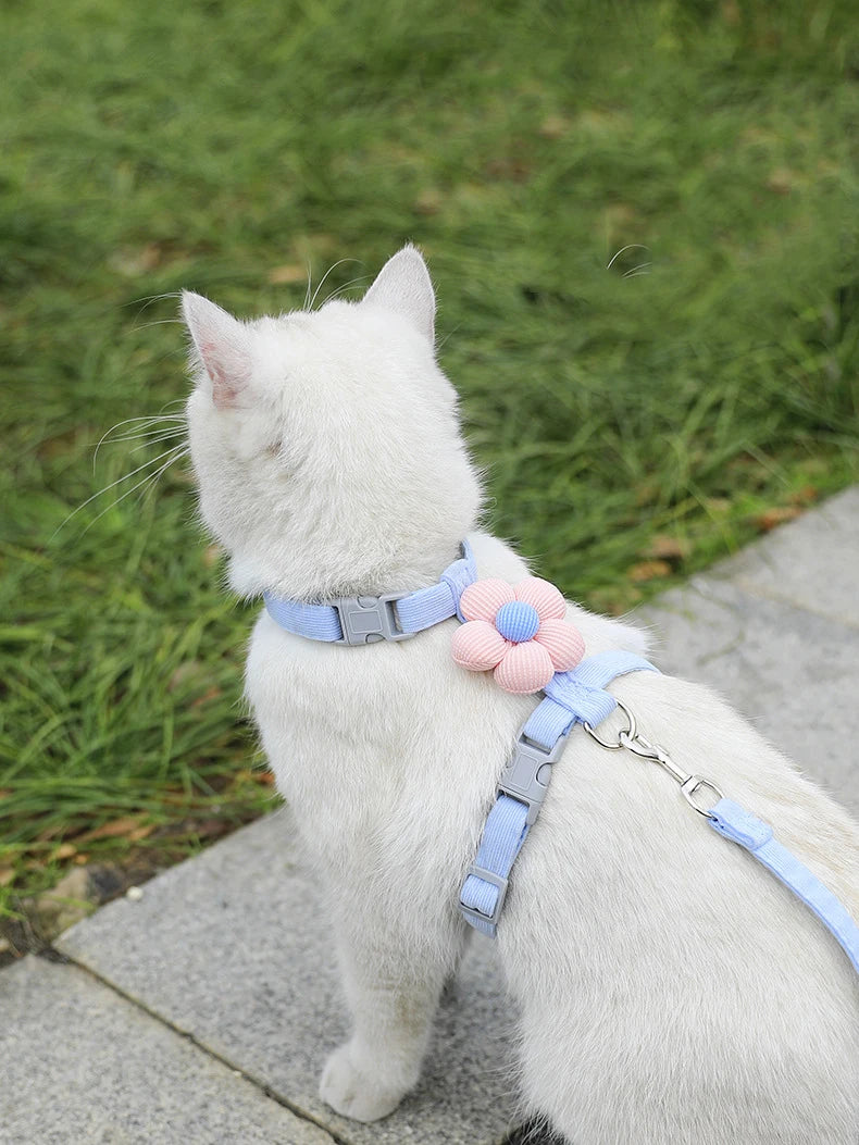 Breathable Adjustable Harness & Leash Set for Cats and Small Dogs