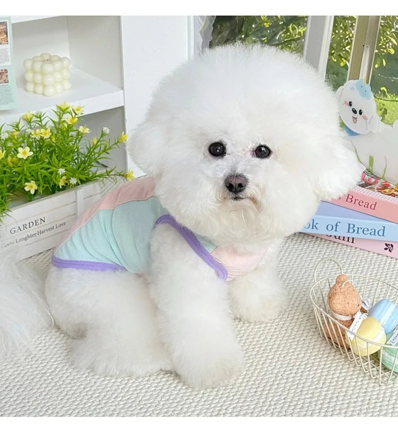 Gilet rafraîchissant réfléchissant et t-shirt d'été pour chiens et chats de petite, moyenne et grande taille