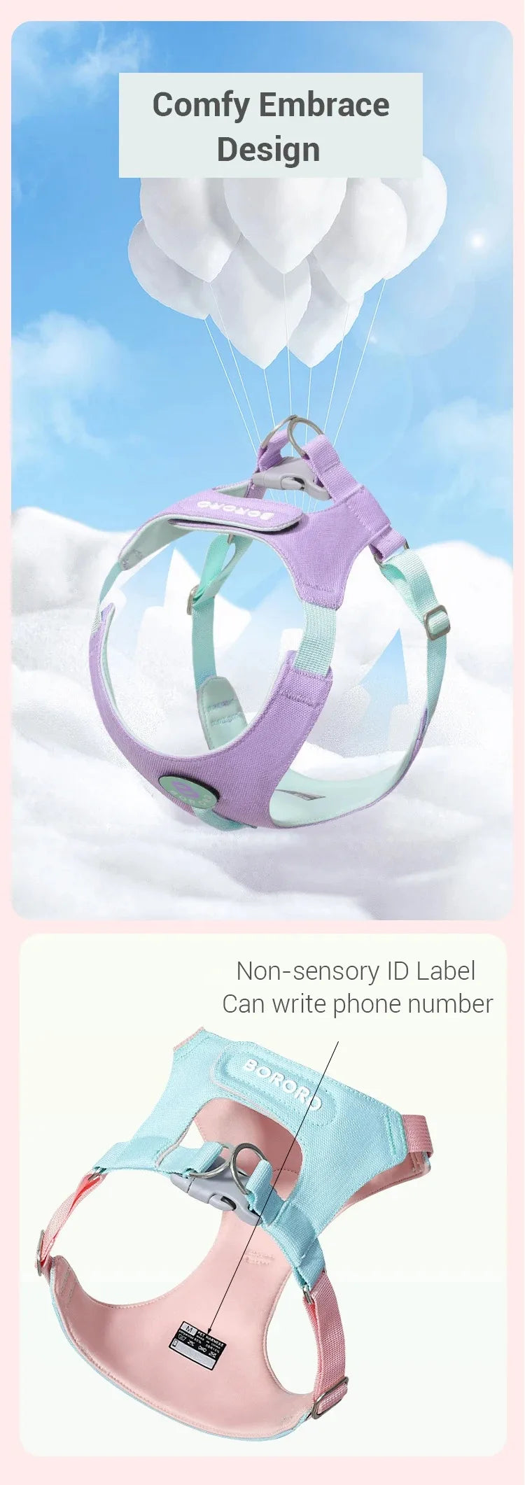 Ensemble Collier et Laisse pour Chien - Harnais de Poitrine pour Petits Chiens
