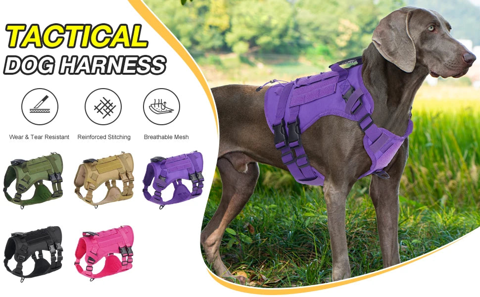Harnais Tactique pour Chien avec Sangle de Poitrine et Boucle de Renfort