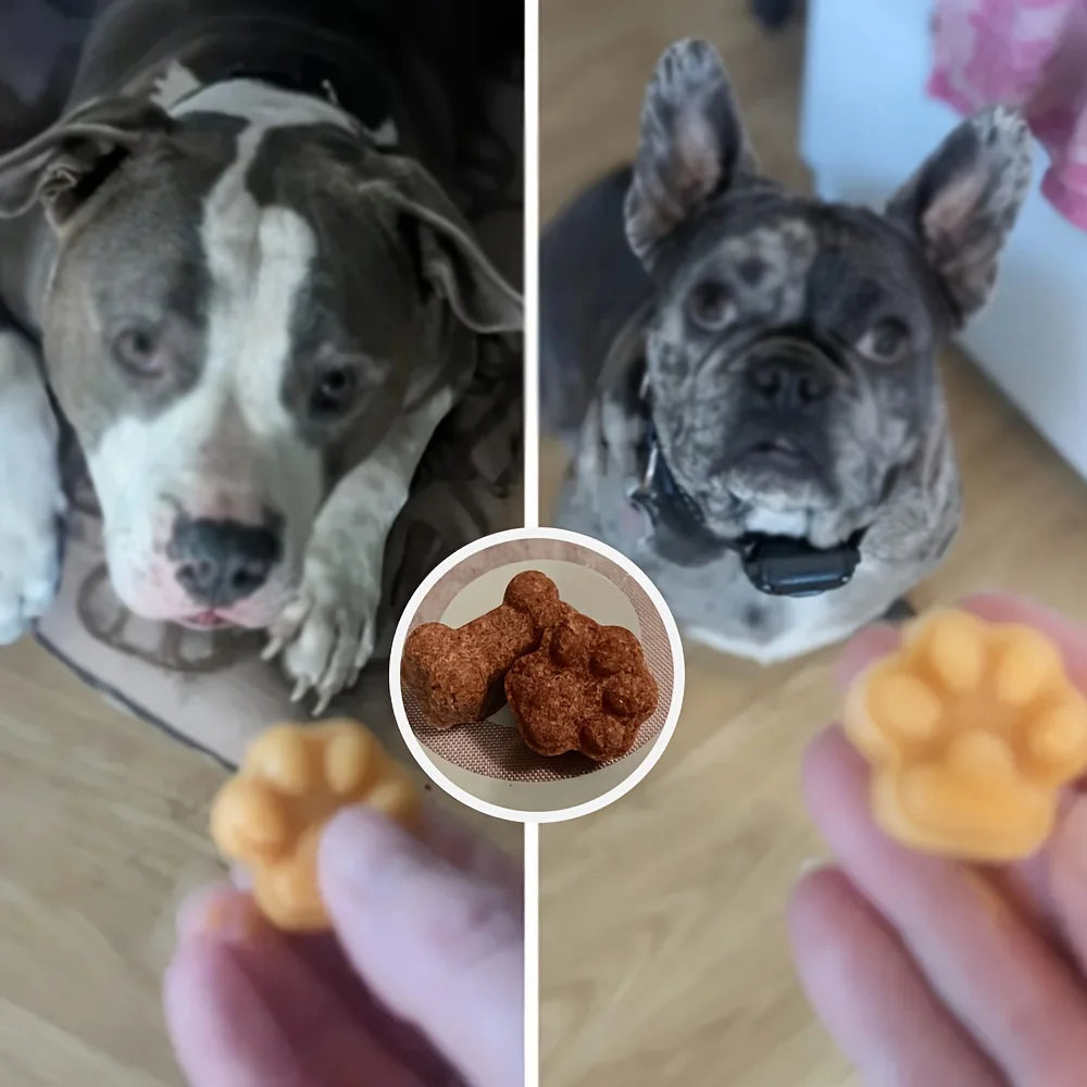 Moule en silicone pour friandises pour animaux – 14 grilles en forme d'os de chien et de patte de chat pour des friandises faites maison