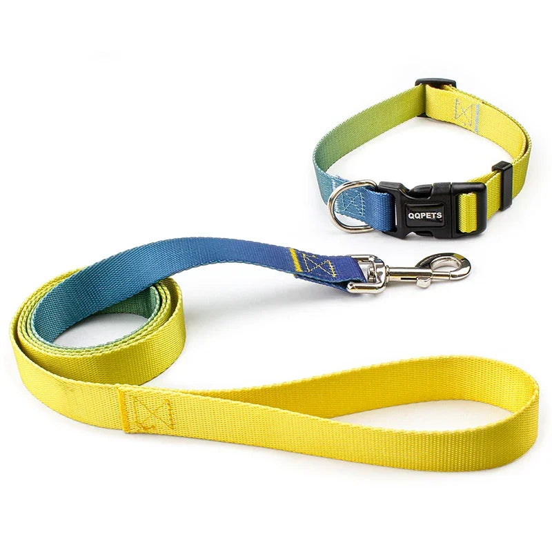 Ensemble laisse et collier réglables en nylon pour chiens - Pour petits et grands chiens