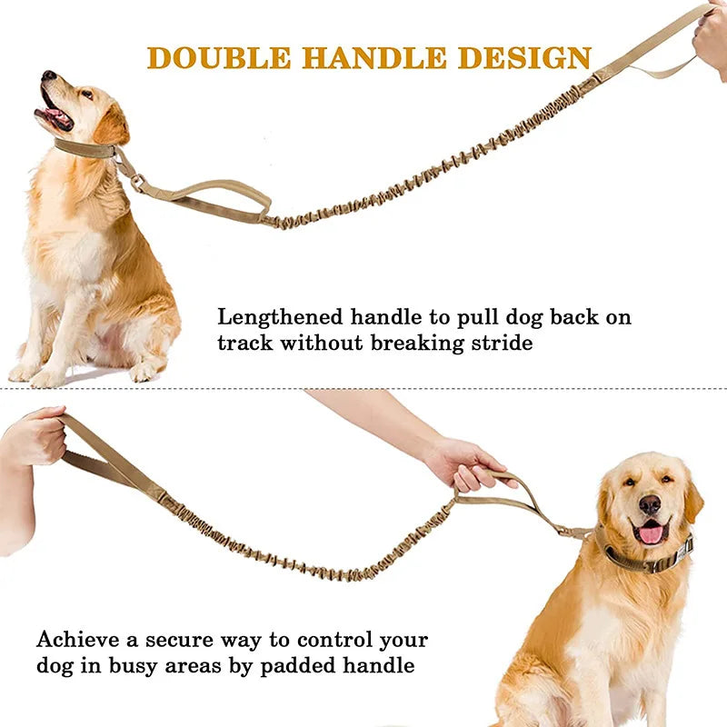 Durable Nylon Dog Collar & Leash Set for Large Dogs