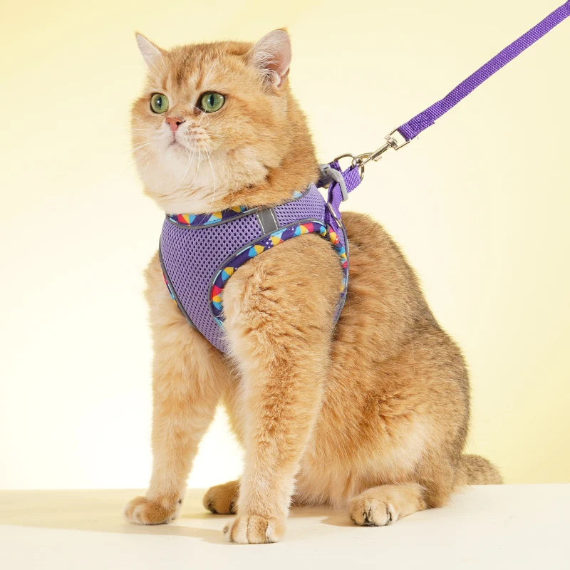 No-Pull Step-In Dog Harness & Leash Set for Small & Medium Dogs