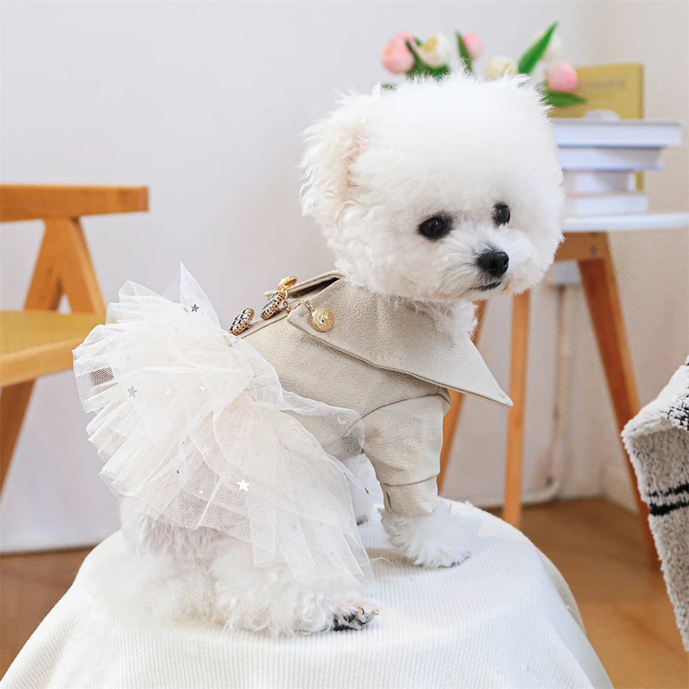 Sequin & Lace Pet Dress