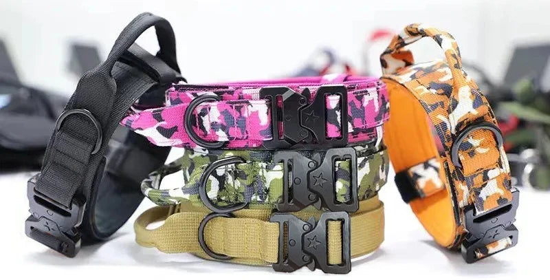 Durable Nylon Dog Collar & Leash Set for Large Dogs