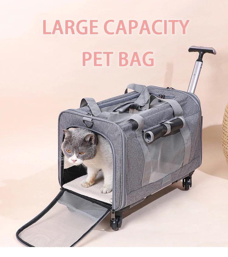 Sac de transport roulant pour animaux de compagnie avec roues — Approuvé par les compagnies aériennes et poussette pliable