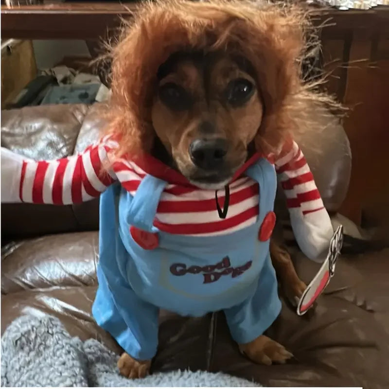 Costume de Chien Poupée Ensanglantée Halloween avec Perruque