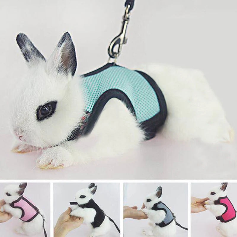 Mesh Breathable Harness & Leash Set for Rabbits, Ferrets & Small Pets