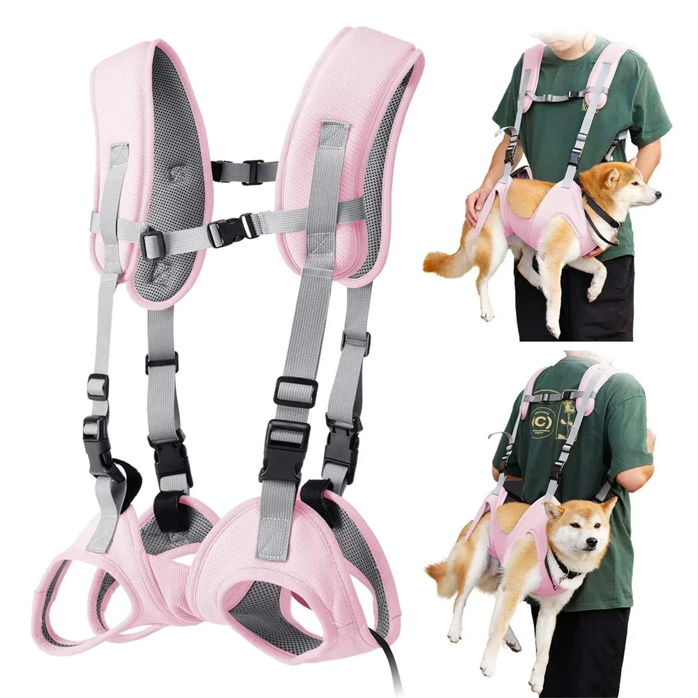 Sac à dos et sac de transport pour animaux de compagnie - Chiens et chats