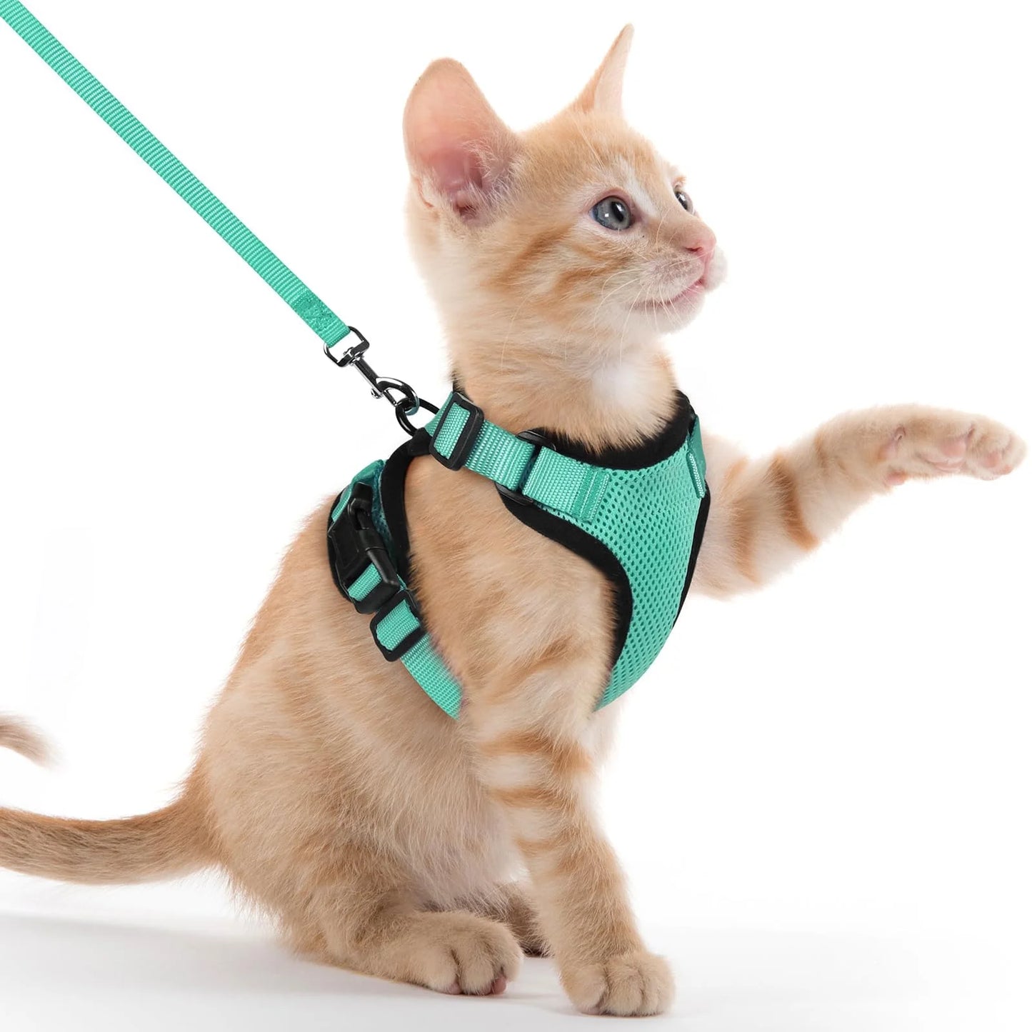 Escape-Proof Cat Harness & Lead Set — Adjustable Reflective Mesh Vest for Cats & Small Dogs
