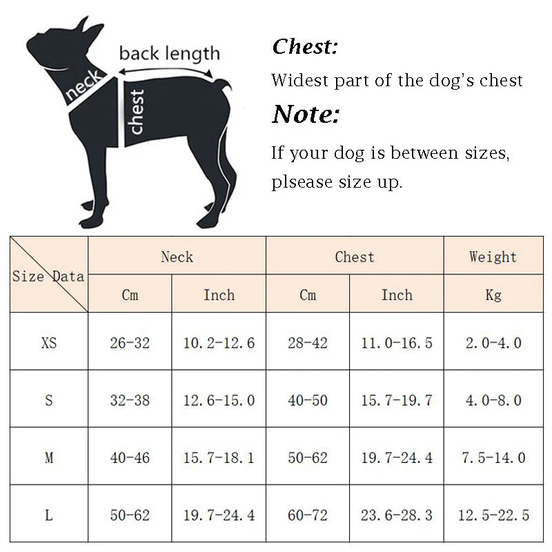 Adjustable Dog Harness & Leash Set