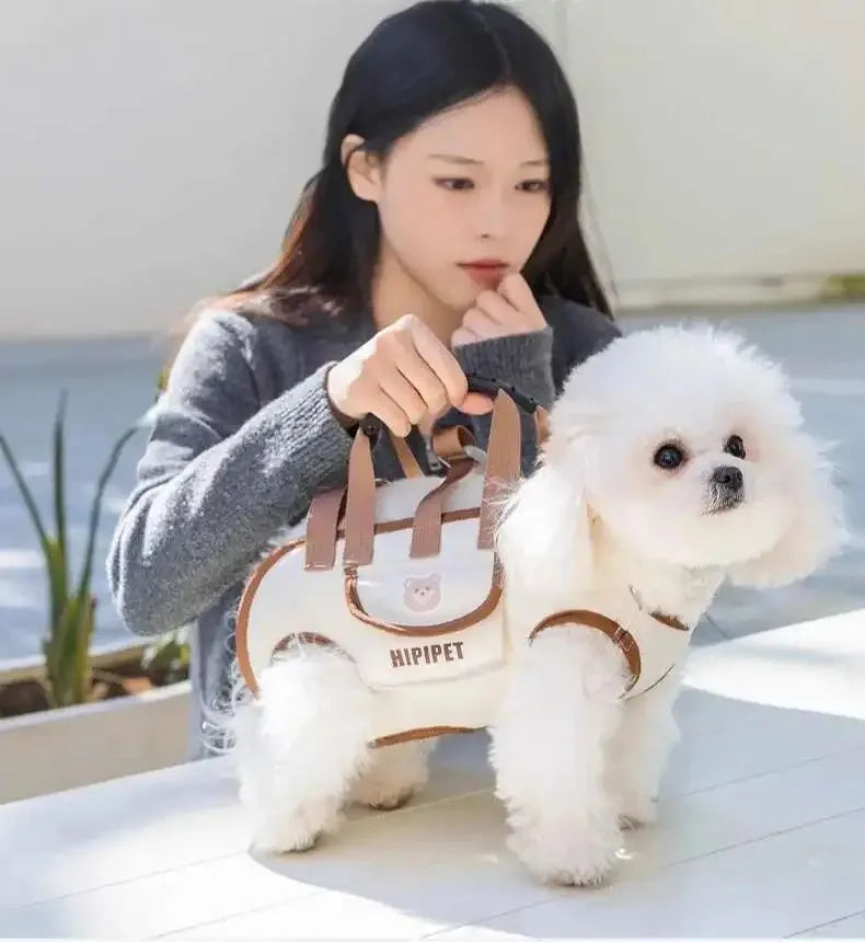 Sac de transport pour animaux de compagnie avec design de sac à dos