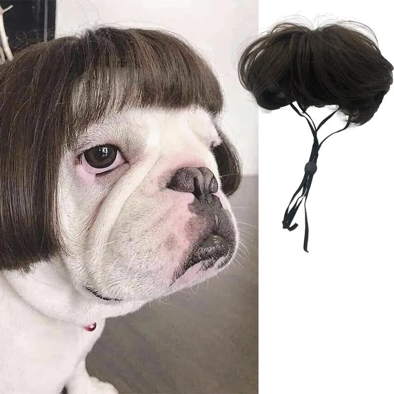 Pet Halloween Wig - Curly & Straight Hair Costume Accessory for Dogs & Cats