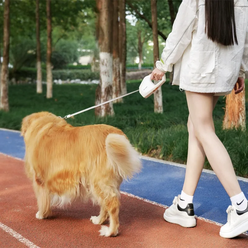 5m Retractable Dog Leash with Quick-Release