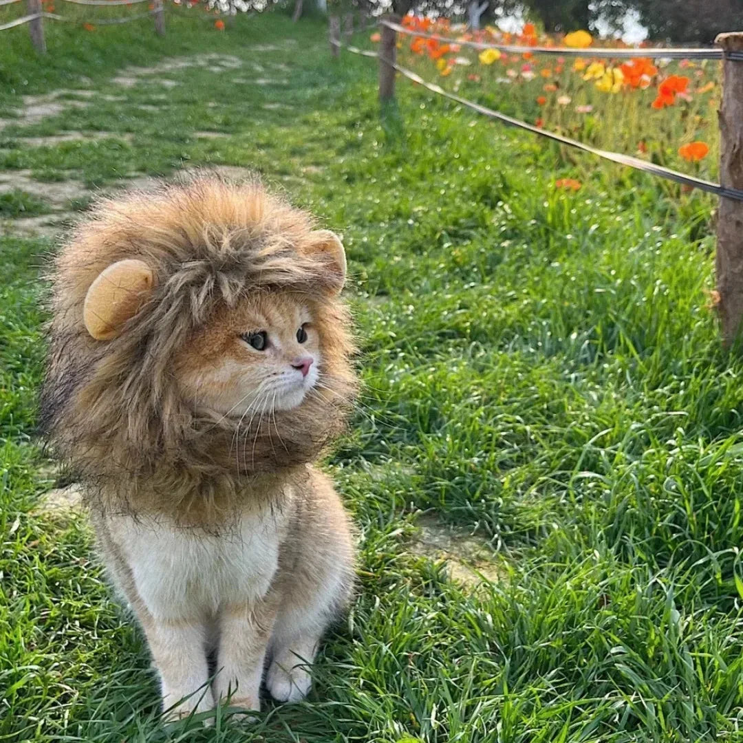 Lion Mane Pet Costume for Dogs and Cats