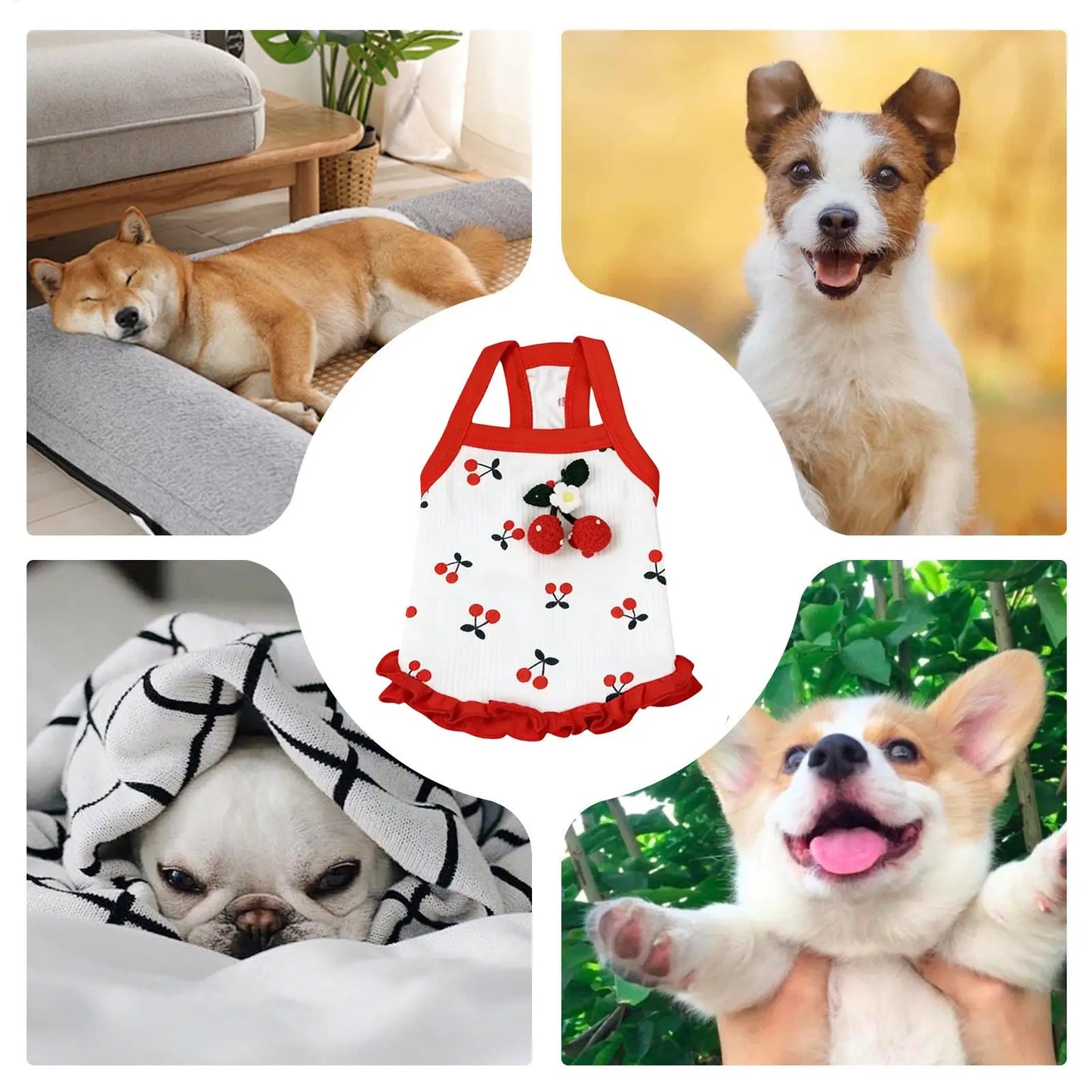 Breathable Summer Vest for Small Dogs & Cats