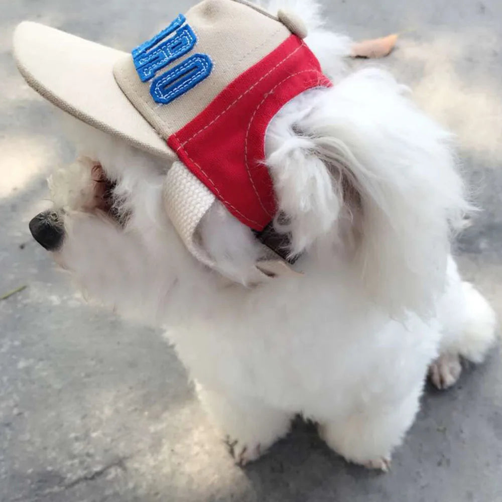 Casquette de baseball pour chien avec visière - Chapeau de soleil d'été