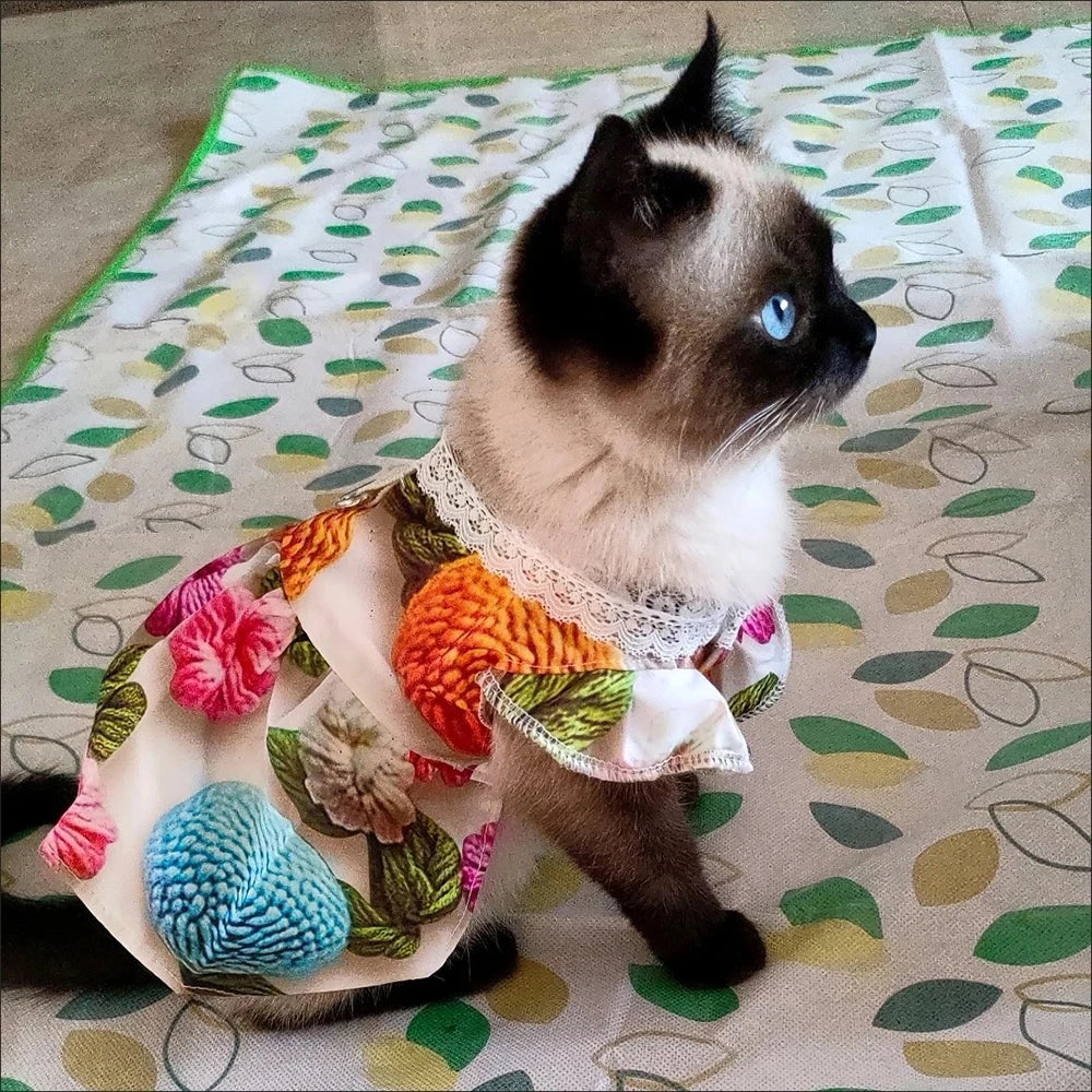 Lace Collar Dress for Cats & Small Dogs