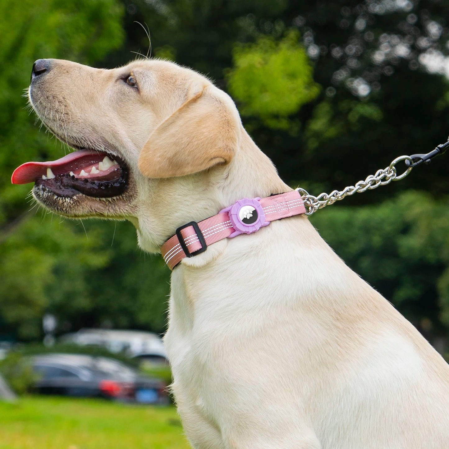 Collier réfléchissant pour chien avec support AirTag et boucle à dégagement rapide