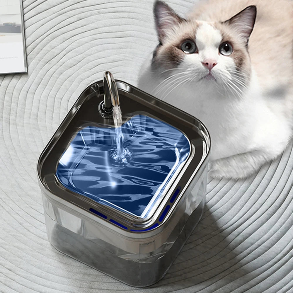 Pet Water Fountain with Stainless Steel & Clear Reservoir